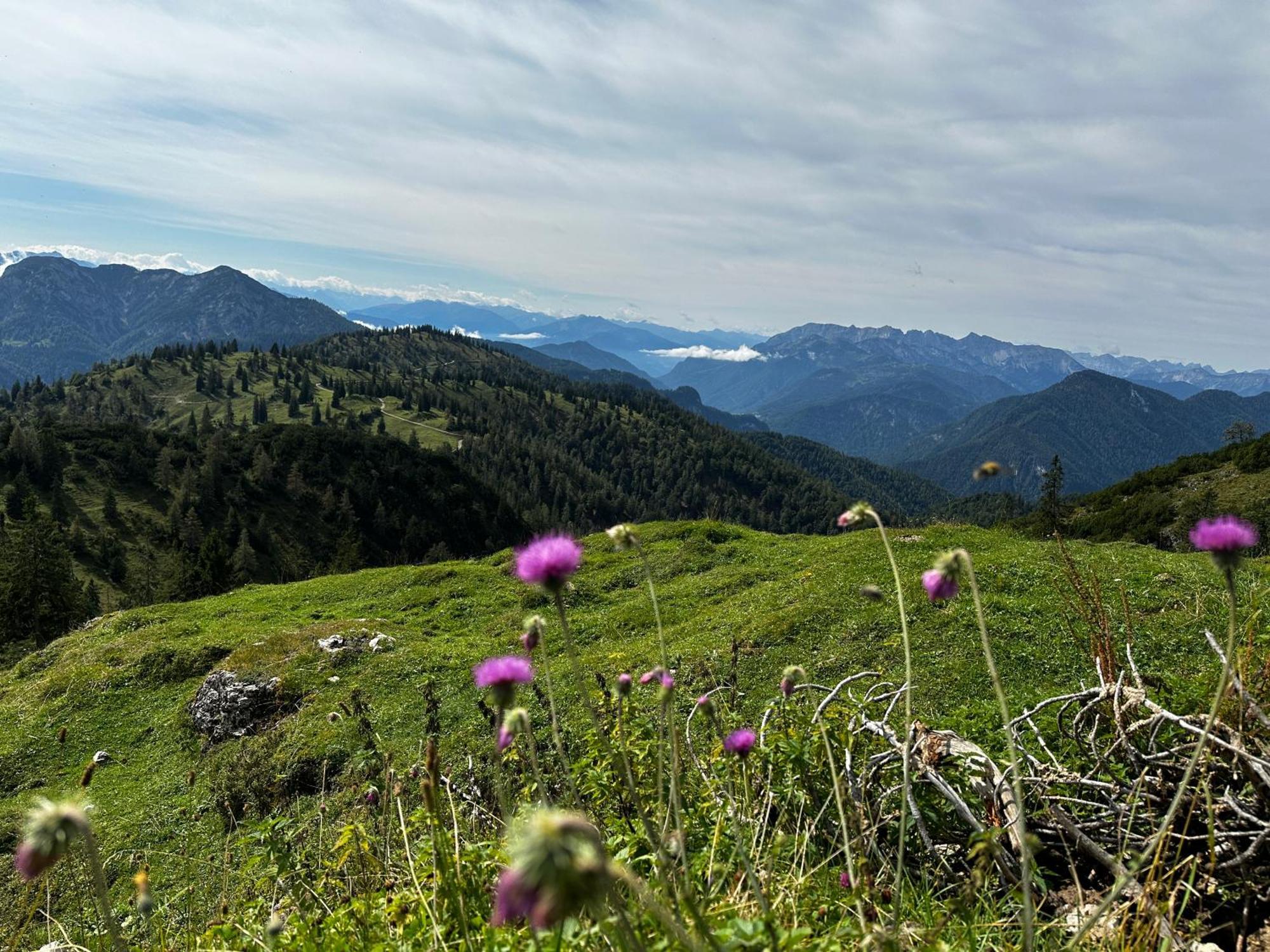 Landhaus Renata Bayrischzell Kültér fotó